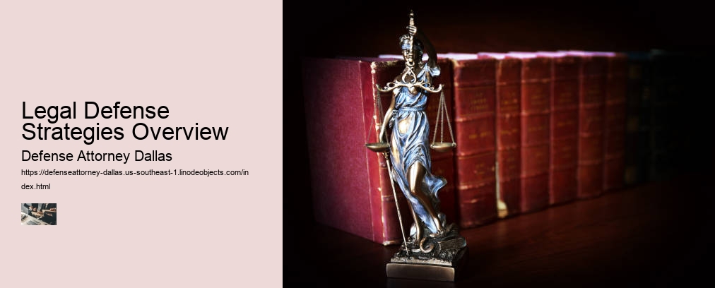 Legal Defense Strategies Overview